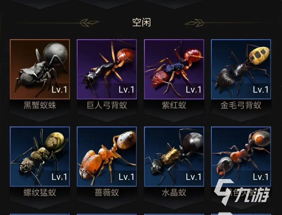 小小蚁国的蚂蚁品种有几种？