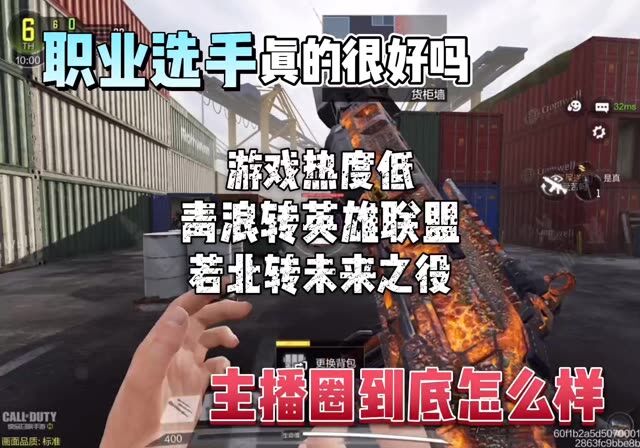 如果说你真的天赋很高，技术很好那么打职业吧 