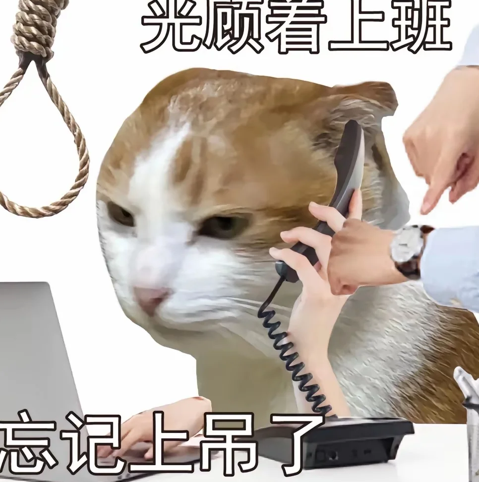 职场新人求稳心态，策略游戏成成长指南？