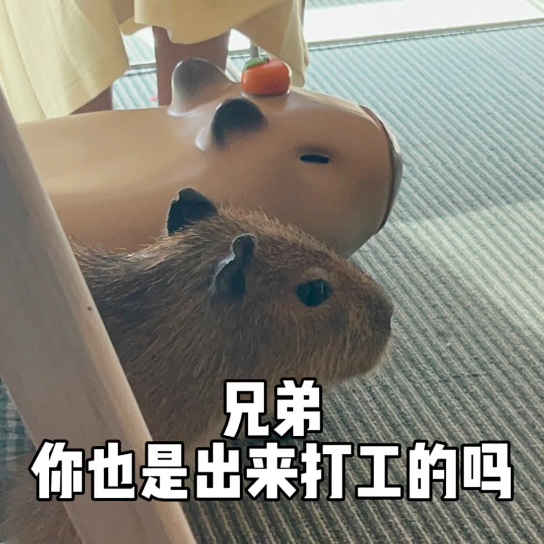 国民网红入职天机阁，爆改策划整顿游戏职场？