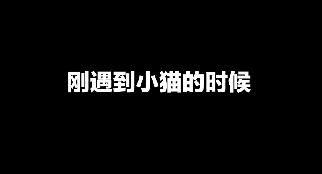 猫儿这个变脸
