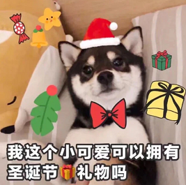 【12.20-1.4】双旦来啦！小师妹来给大家送🎁啦~