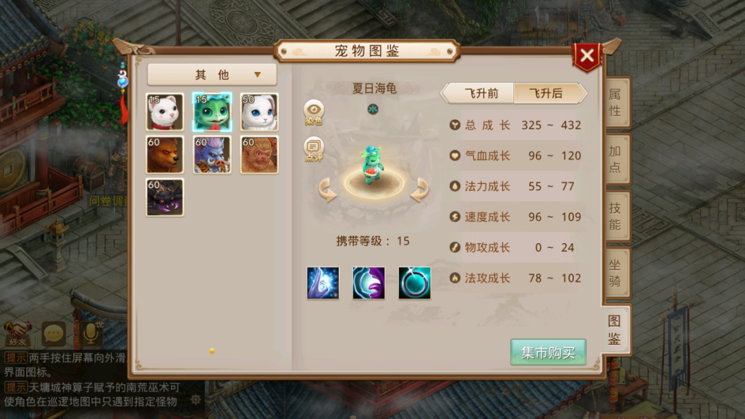 夏日服预约开始啦！夏日海龟竟不是力宠？今天起就能免费带走~