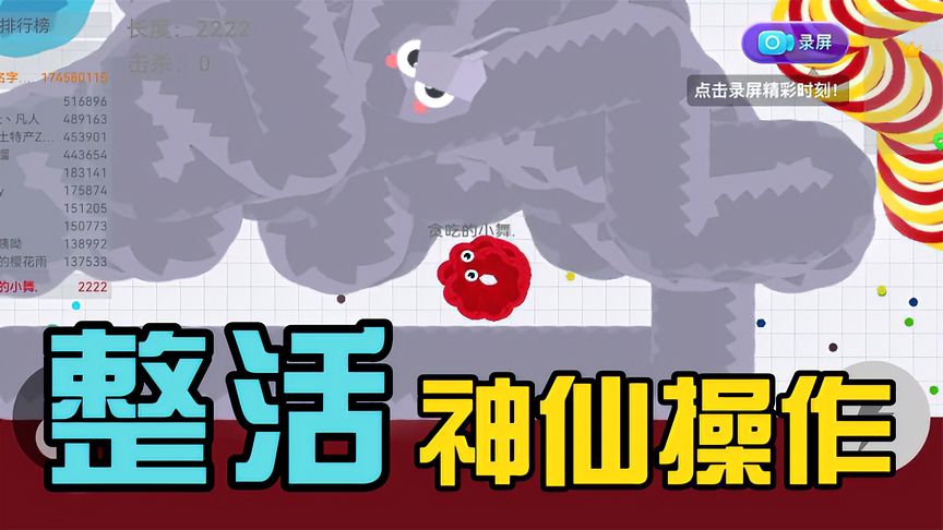 贪吃蛇大作战：贪吃蛇出现离谱操作！蛇王为什么不盘我？