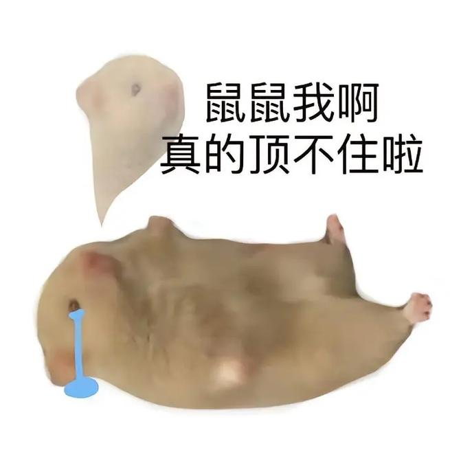 未来的游戏会不会变成超级复杂的"社会模拟器"？有点期待又有点怕