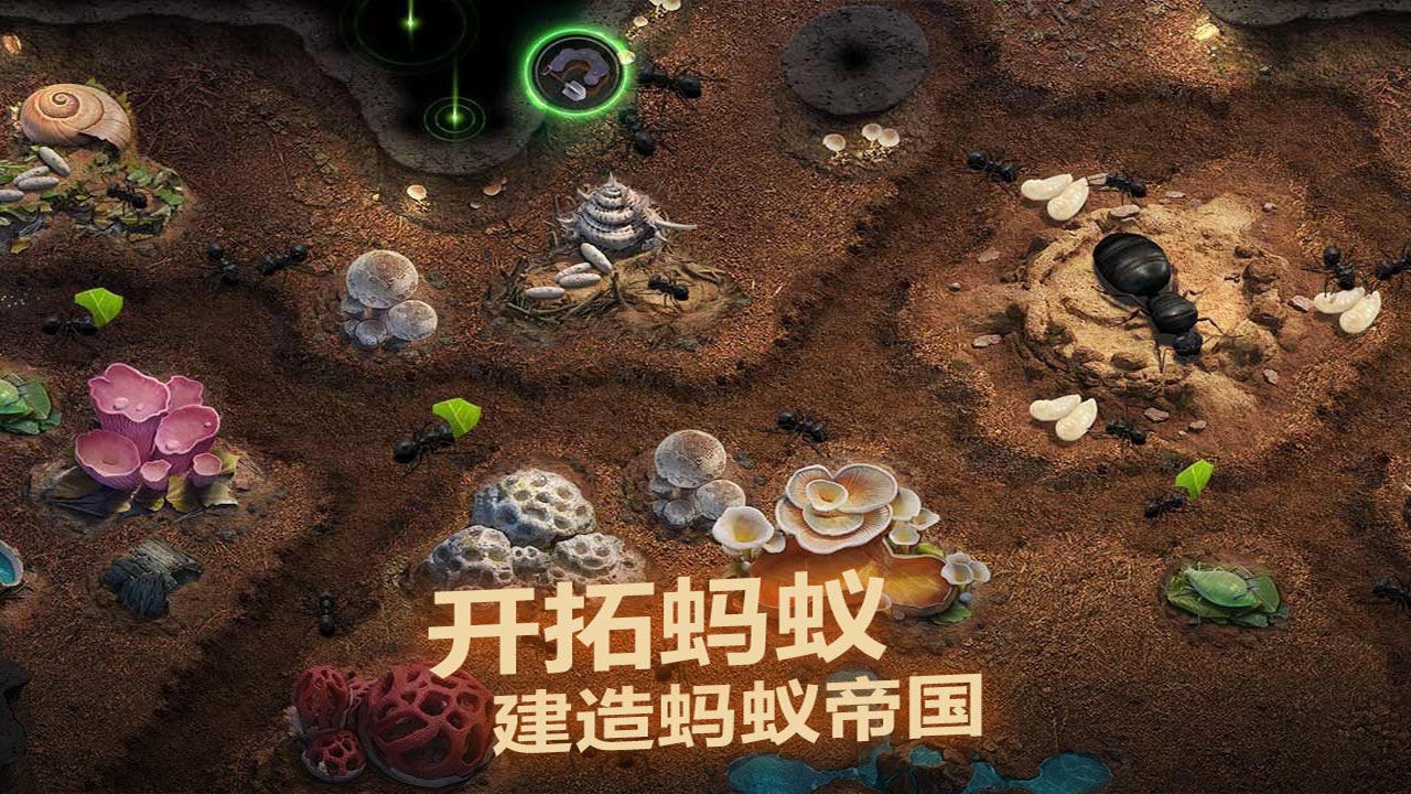 《小小蚁国》微观世界的大冒险，统领蚁群征服地下王国！