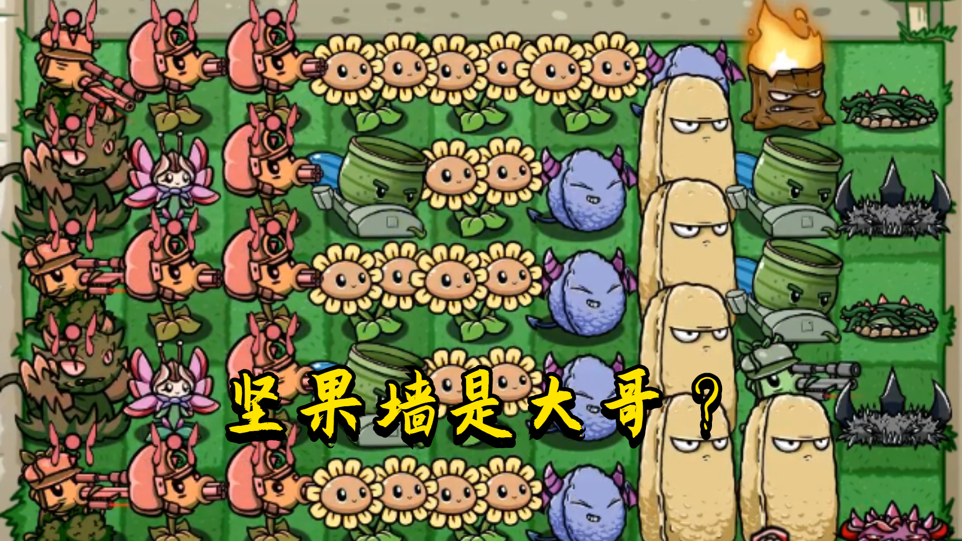 植物大战僵尸：无尽模式第11波，坚果墙是我大哥！