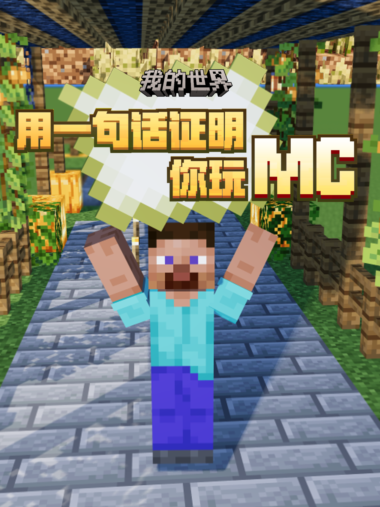 用一句话证明你玩MC！