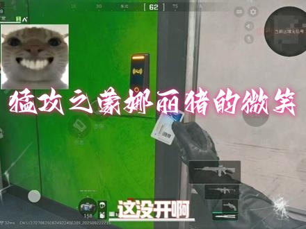 猛攻之蒙娜丽猪的微笑