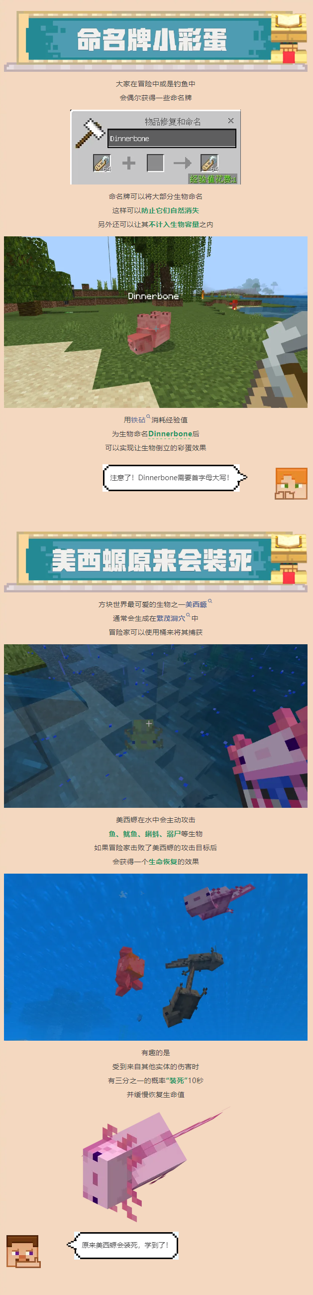 方块星期四 | 这些彩蛋小知识你知道吗？