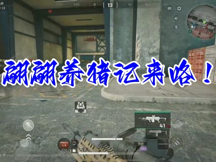 翩翩养猪记来咯 ! 