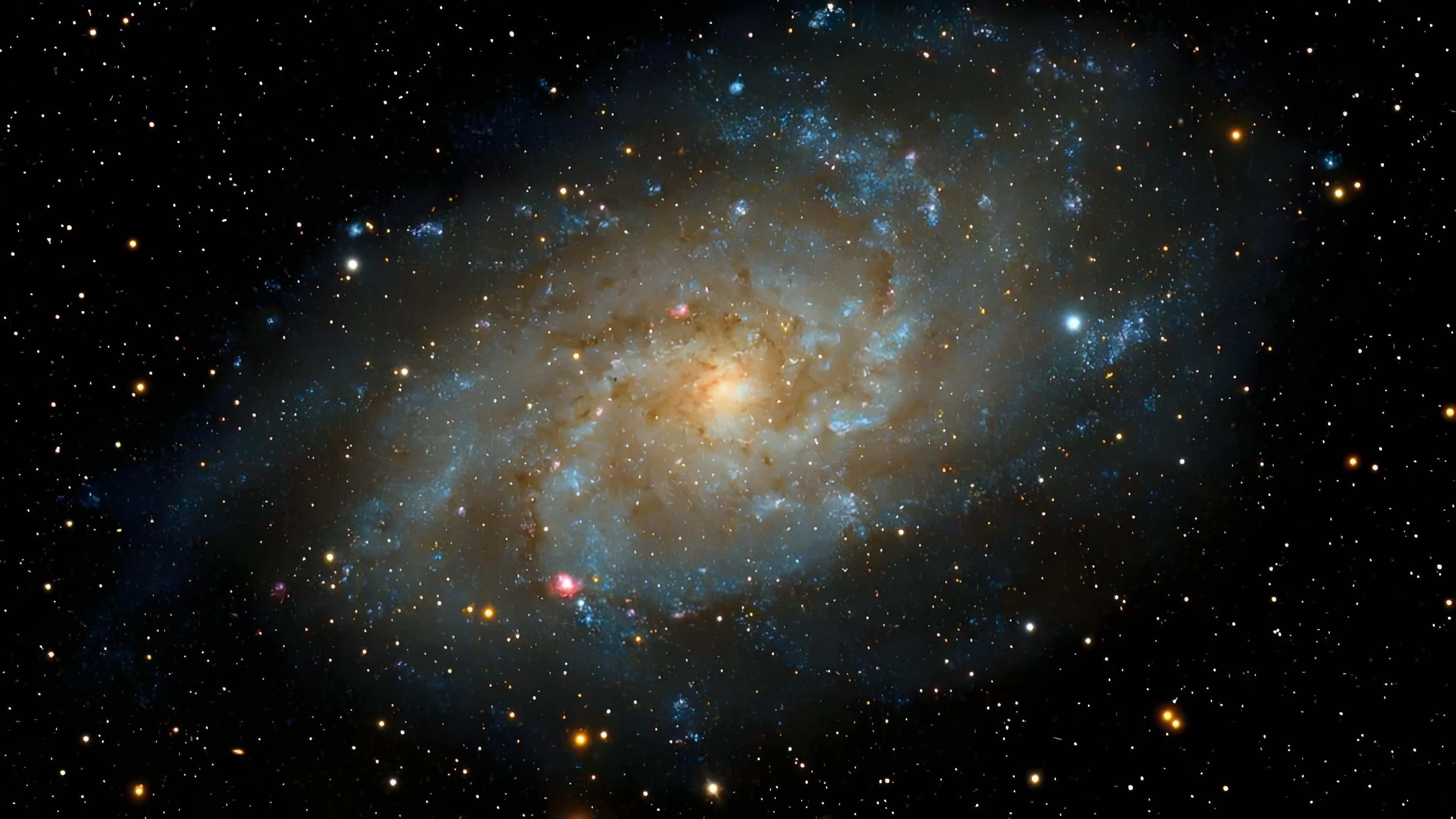 指尖[合成]，创意绽放