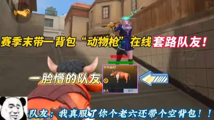赛季末带一背包“动物枪”在线套路队友!