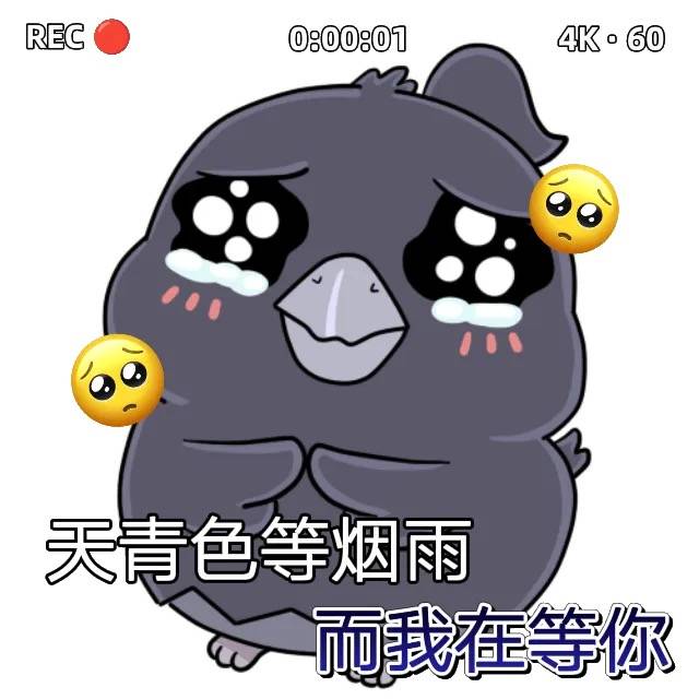 福利｜情满七夕，共赴一场甜蜜邀约