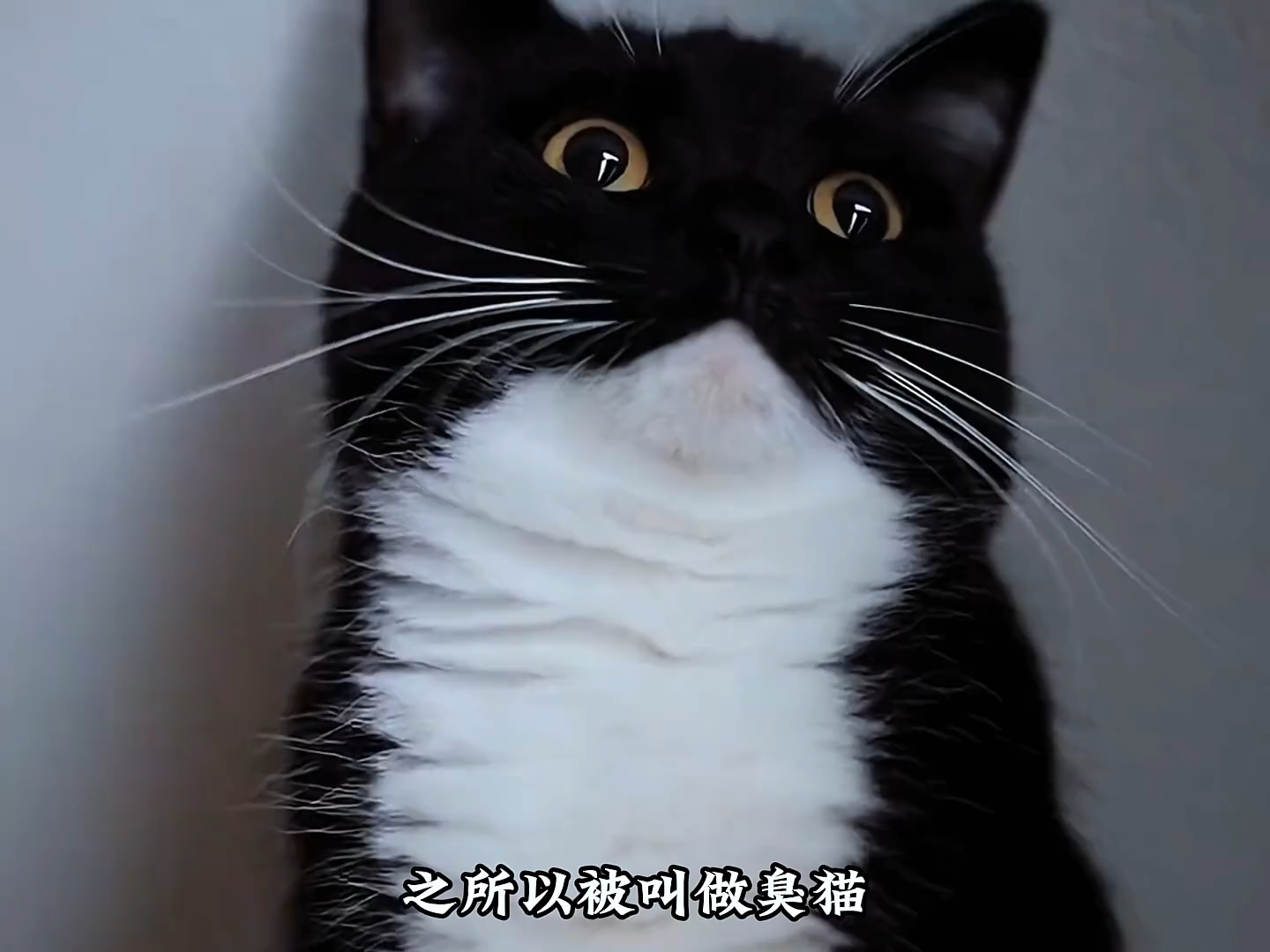 不知道说什么。