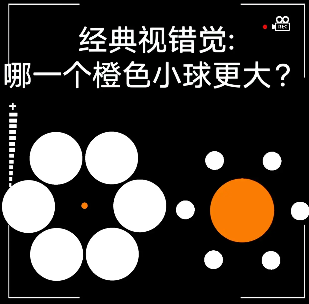 难道他真的是天才？