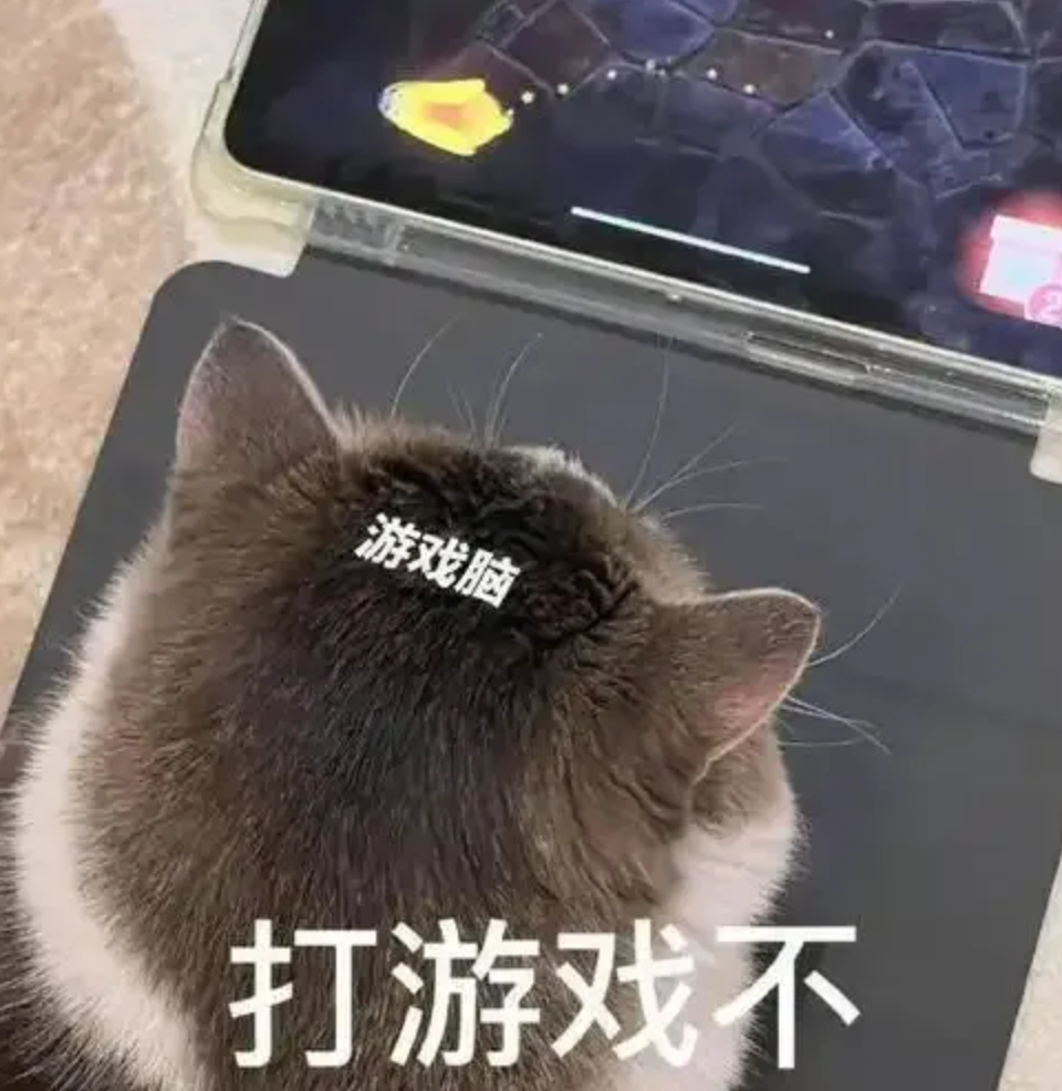 不打架不抢盟，我玩三谋就是天天种田，太舒服了