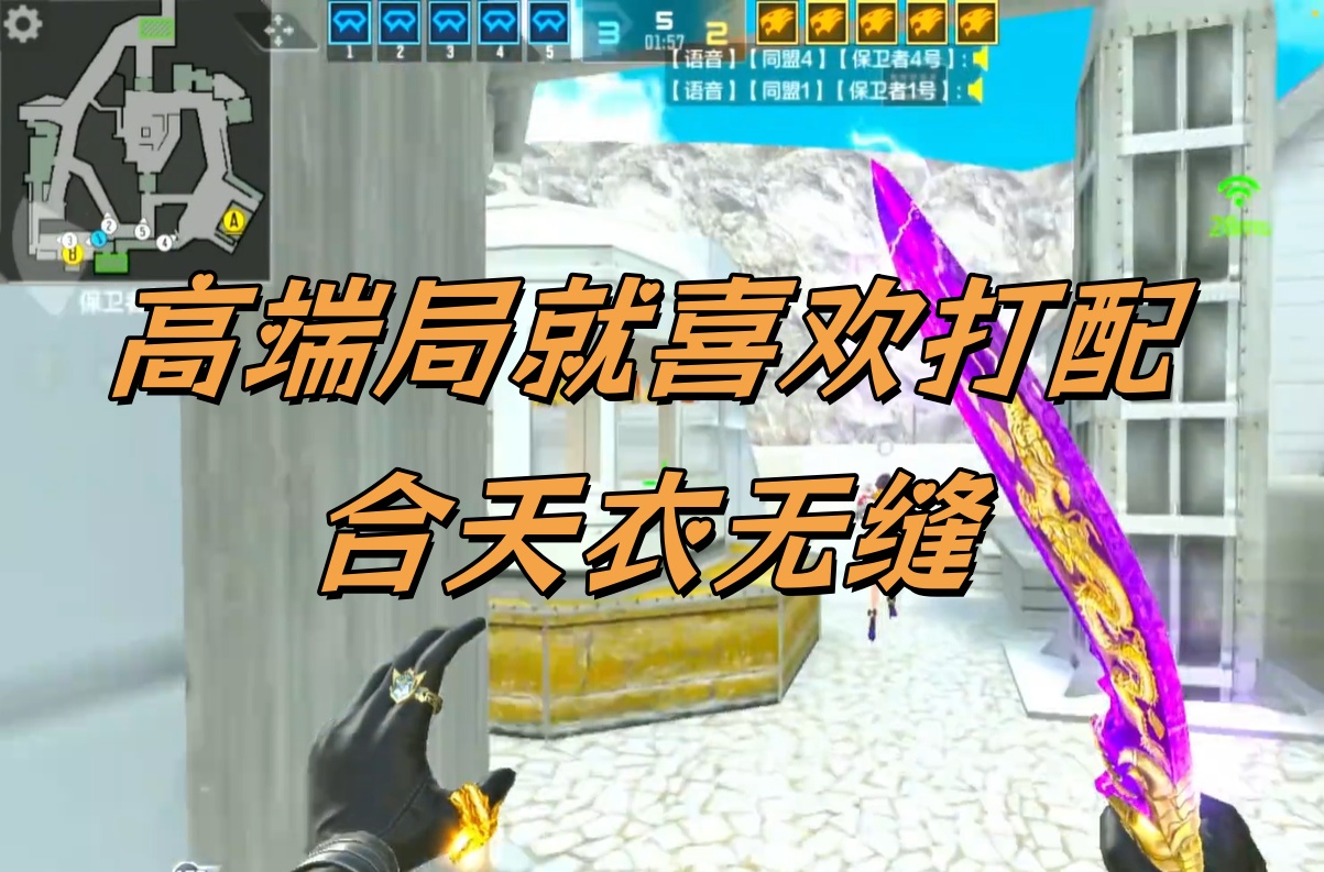 高端局就喜欢打配合天衣无缝