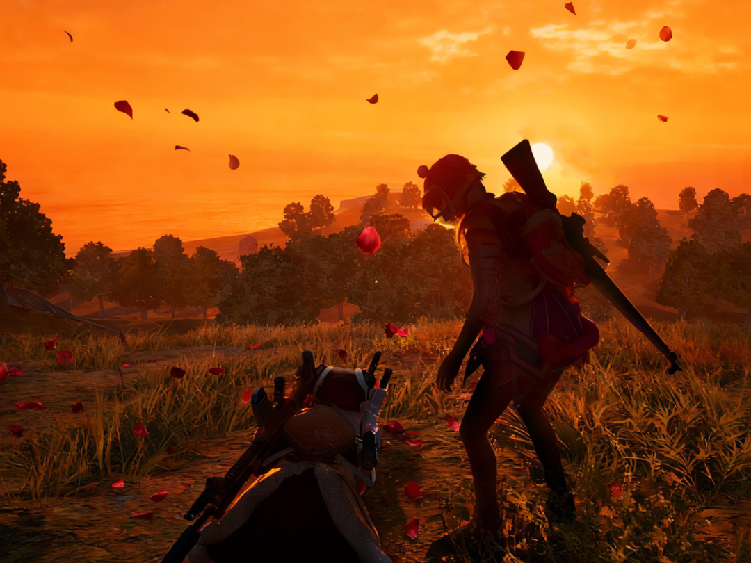 玫瑰大盗同款｜用「海岛的美」占据你的屏幕！