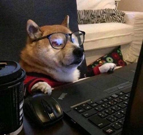 有瓜速来！侠侣奔现，年轻小伙惊觉网恋七旬大妈？>>陈翔六点半又来了