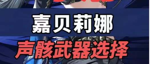 嘉贝莉娜的武器和声骸该怎么选择？