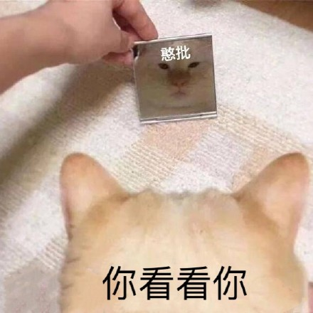 试衣镜争议 三谋做到所见即所得？