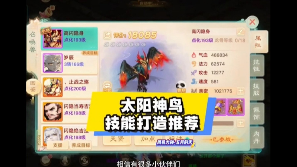 玩家分享：太阳神鸟该怎么打技能？