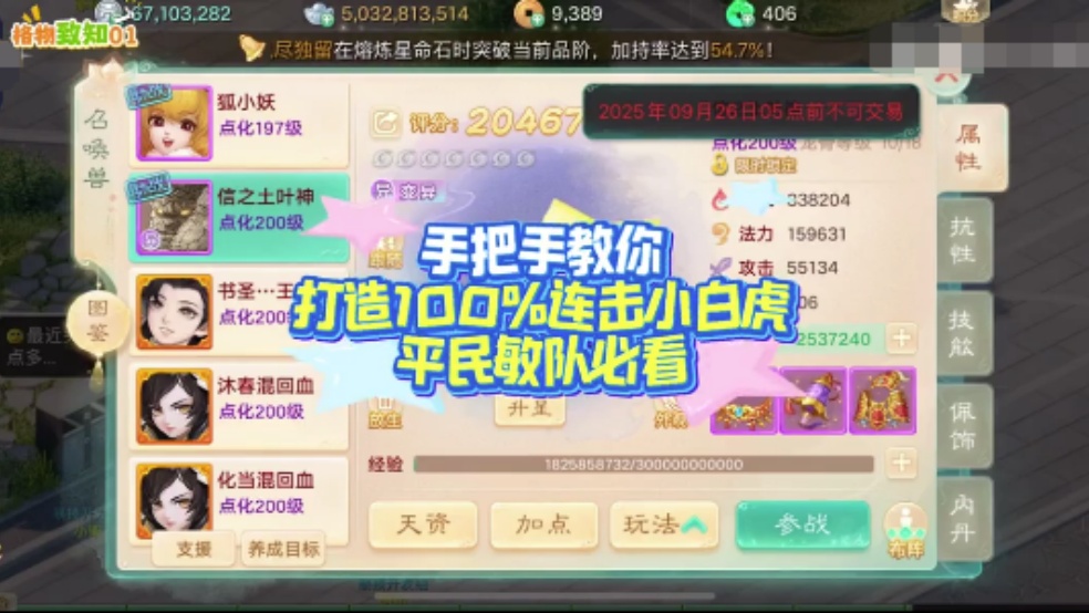 玩家分享：手把手教你打造100%连击小白虎，普通敏队可参考