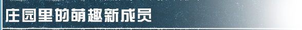 庄园生活新升级，轻松收获一夏清甜！