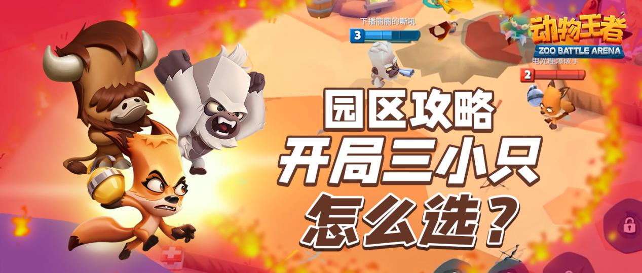 「园区攻略」头疼中...开局三只小动物到底该怎么选呀？！