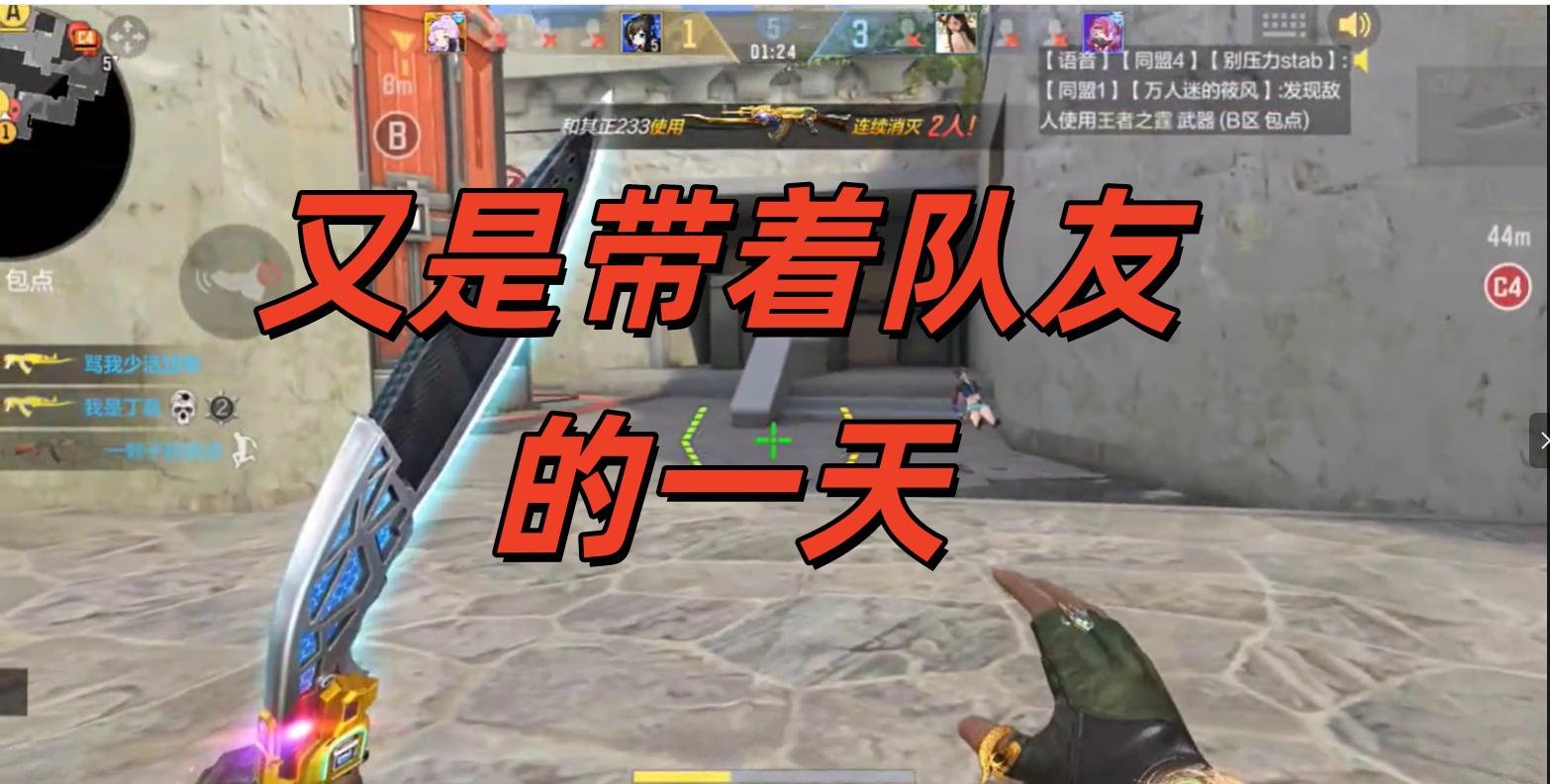 又是带着队友的一天