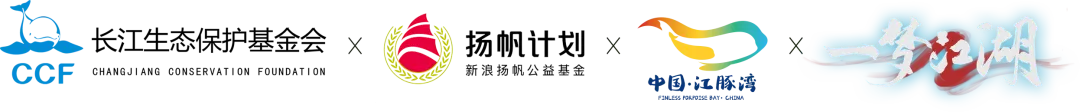 这条鱼，我们在乎，少侠在乎，整个江湖都在乎！