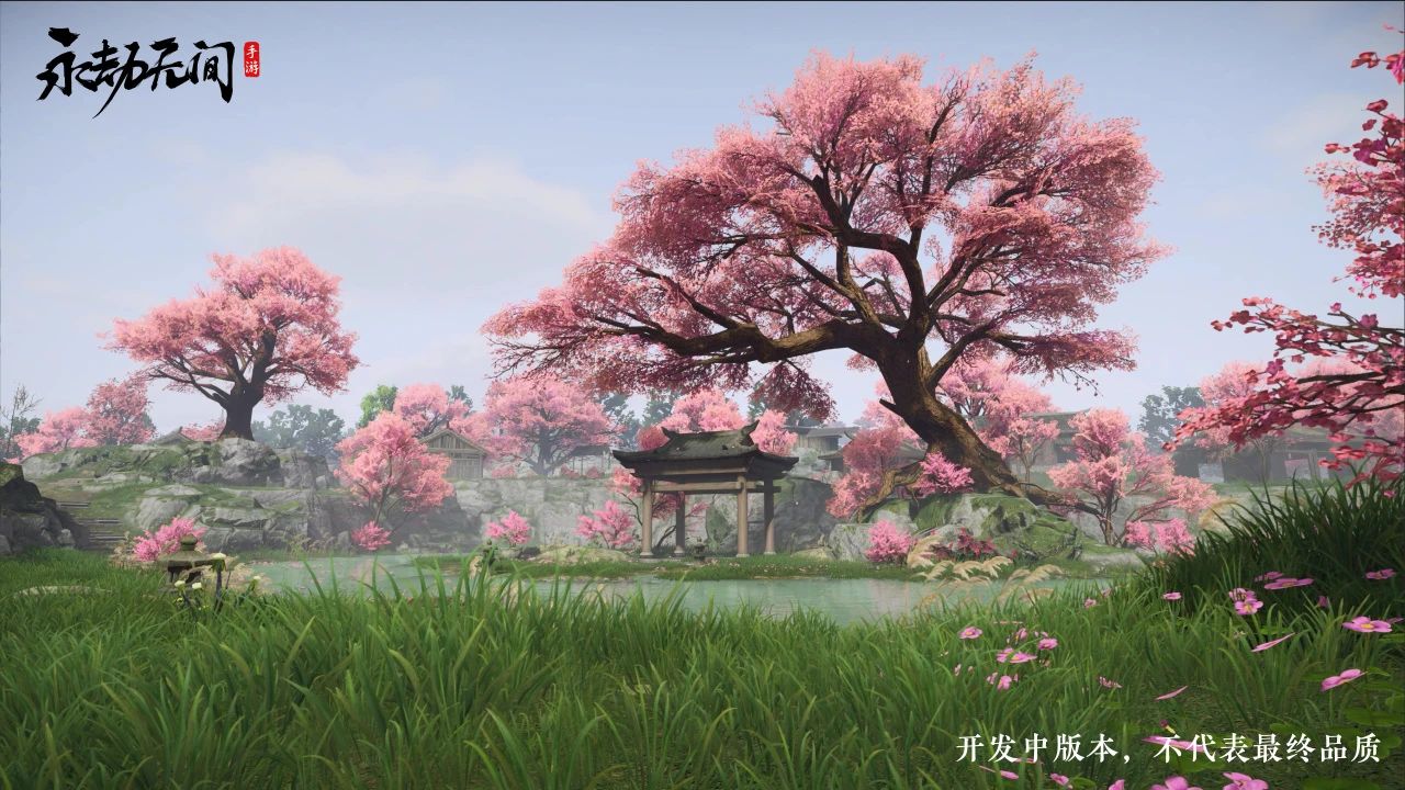 十四天，带走建议，留下回忆