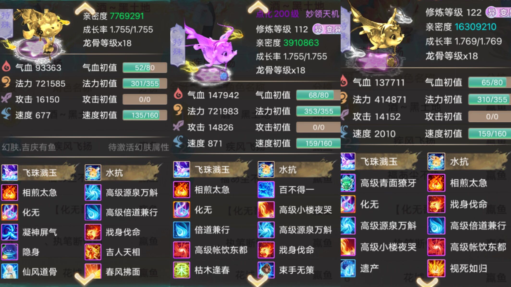 这几只鱼真让人大开眼界！