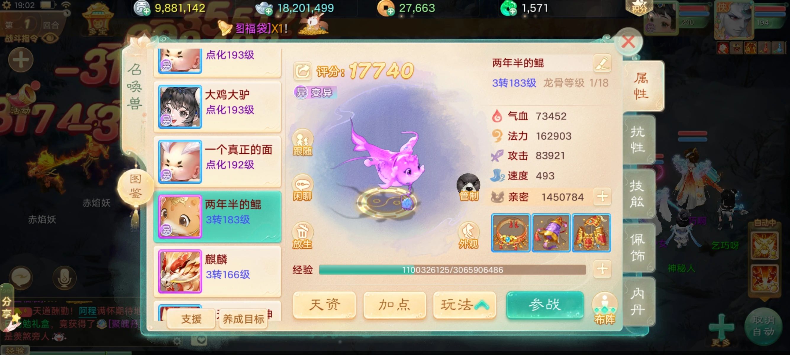 全功！大力鱼？来看看这只两年半的鲲属性如何？