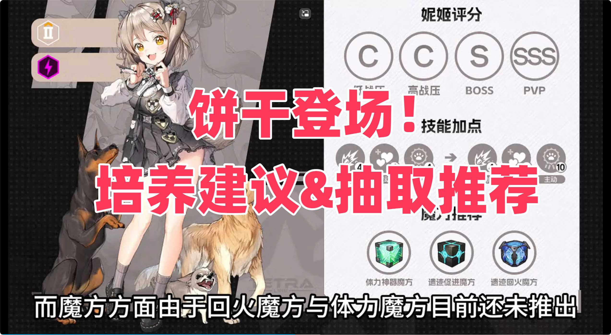 饼干登场！培养建议&抽取推荐