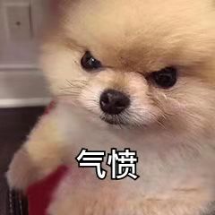 玄中记：妖魔哪里跑，组队除魔走起!
