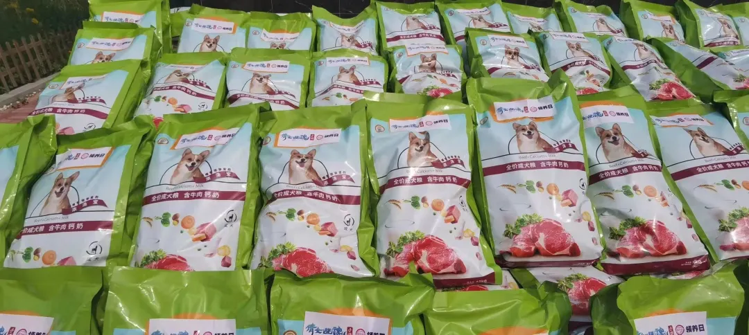 我们一起，让700只流浪毛孩子不再饿肚子