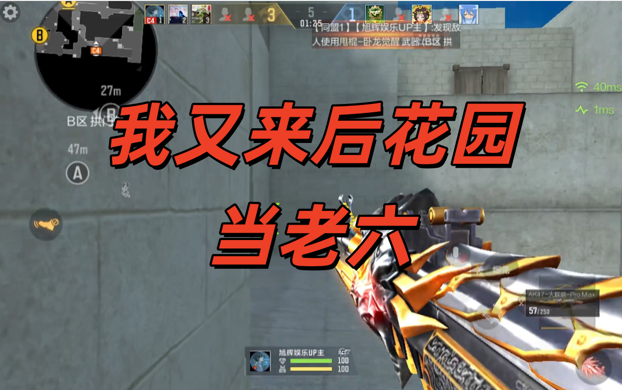 我又来后花园当老六