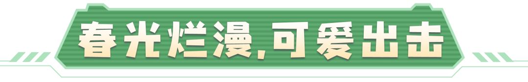 6元福利涂装！换上它成为“速度节掌管春天的神”