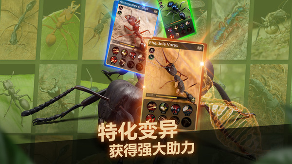 感觉有点难顶