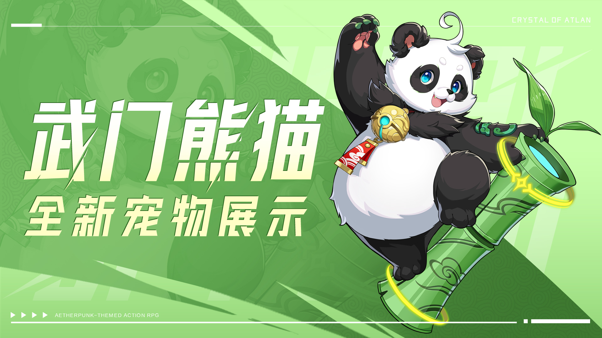 宠物展示 | 全新武竹圣物箱宠物「武门熊猫」