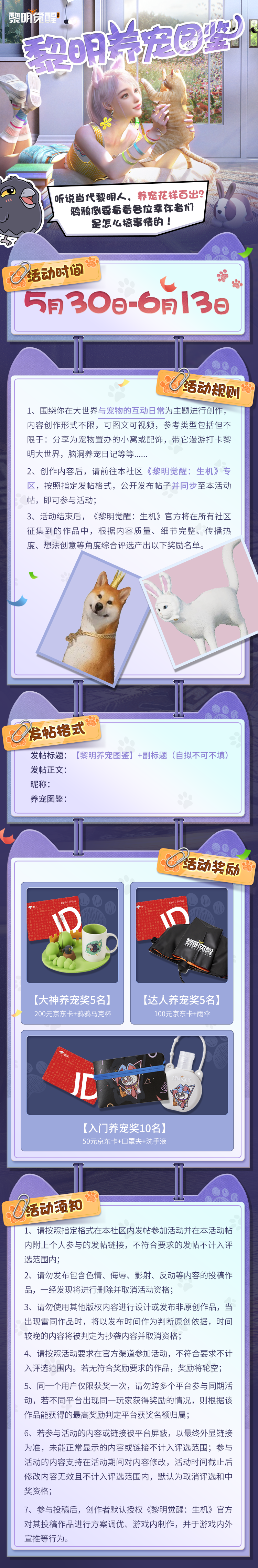 有奖征集｜黎明养宠花样百出，优秀铲屎官速来报道！