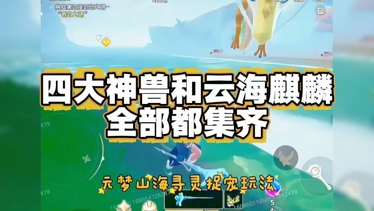 四大神兽和云海麒麟全部都集齐