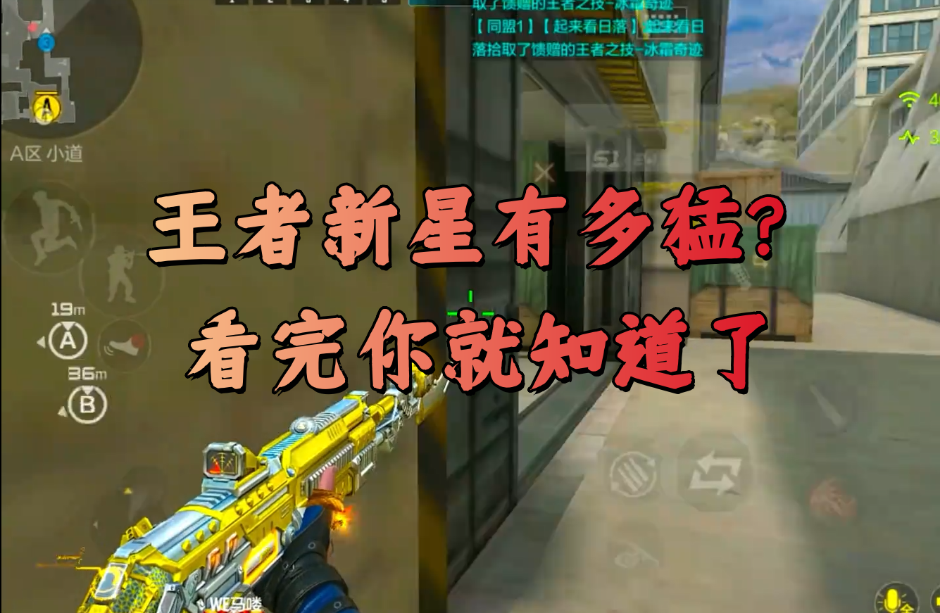 王者新星有多猛？看完你就知道了