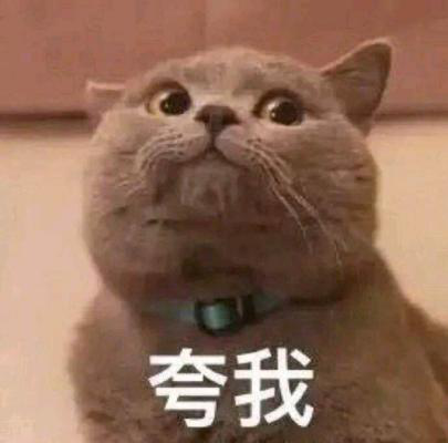 全明星激斗联动新版本即将开启！