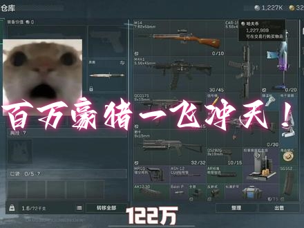 百万豪猪一飞冲天！
