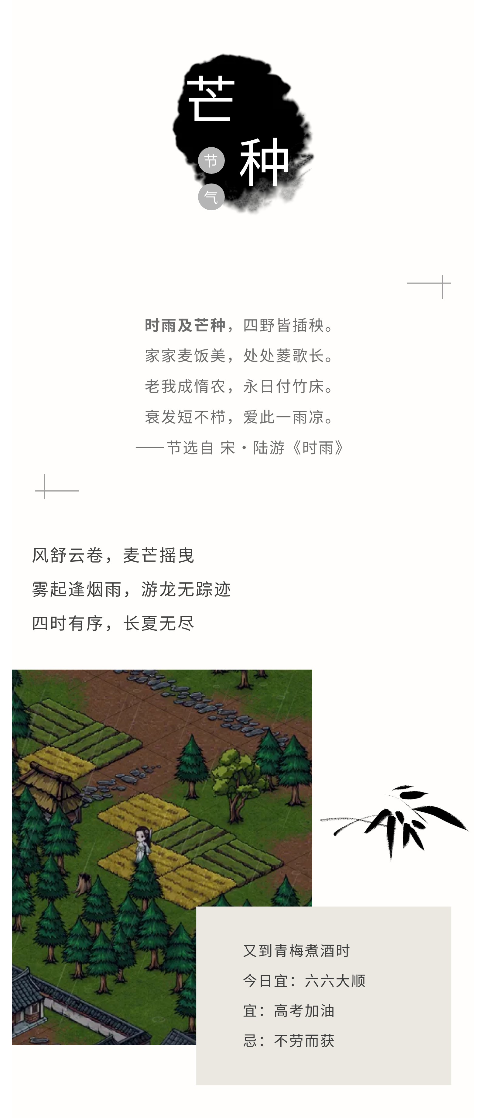 《烟雨江湖》「芒种」时雨及芒种，四野皆插秧