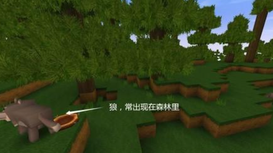 迷你世界：想要捕捉野生动物，要知道对方的生存地点