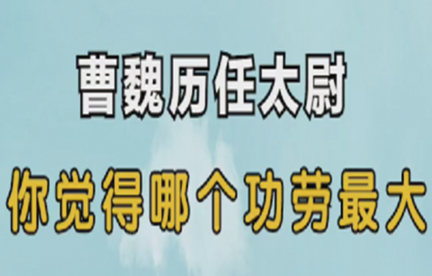 曹魏历任太尉，你觉得哪个功劳最大